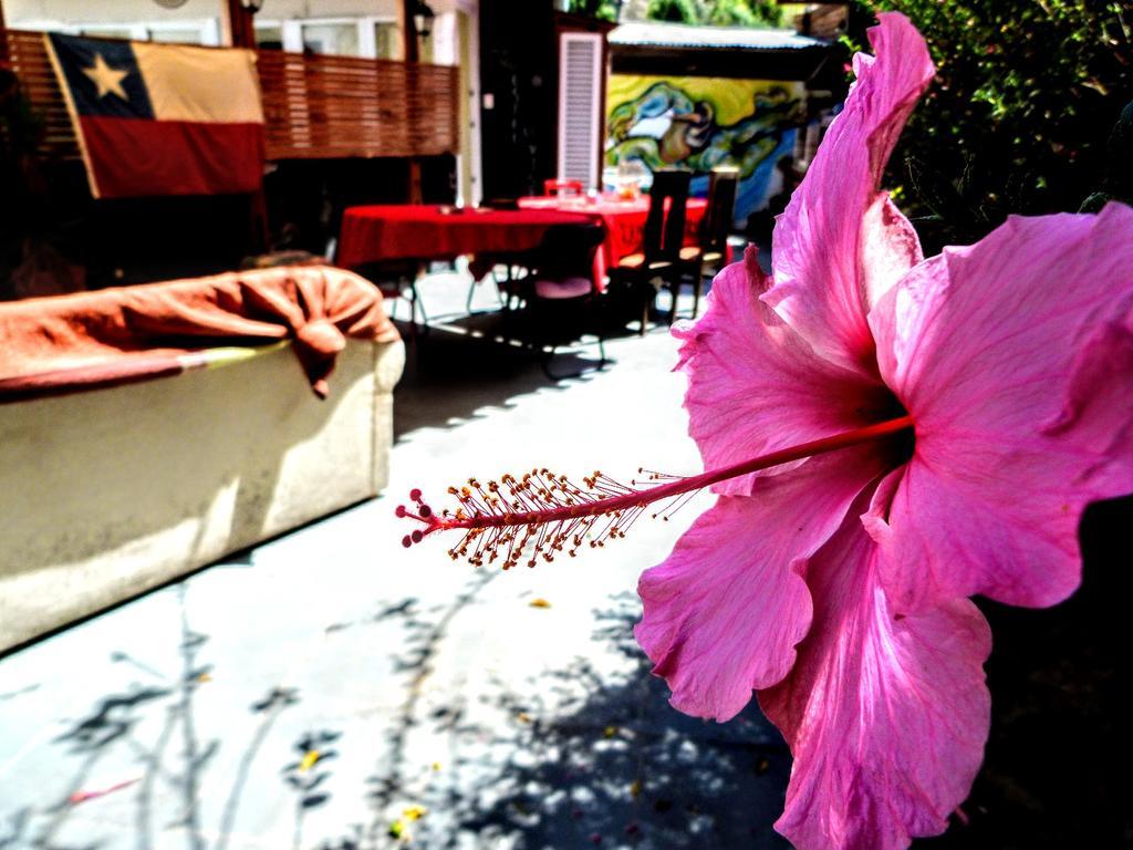 La Casa Piola Hostel Valparaiso Exterior photo